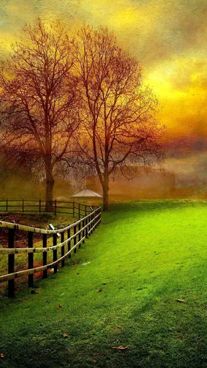 Nature Phone Orange Sky Wallpaper