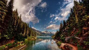 Nature Riverbed Photograph Wallpaper