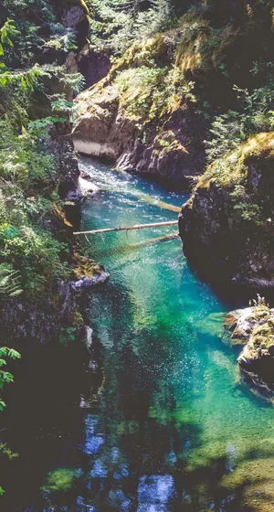 Nature View Scenic River Iphone Wallpaper