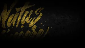 Natus Vincere Dominating The Dark Wallpaper