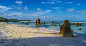 Nauru Rock Formations By The Beach Wallpaper