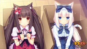 Nekopara's Chocola And Vanilla In Boxes Wallpaper