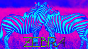 Neon Blue And Pink Zebra Wallpaper
