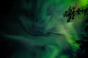 Neon Green Lights Under Starry Sky Wallpaper