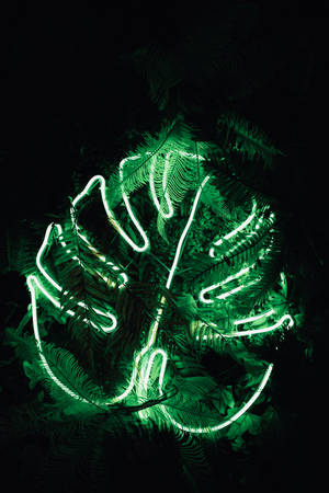 Neon Lights Monstera Leaf Wallpaper