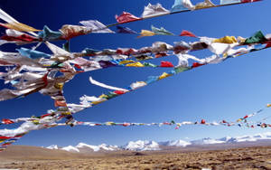 Nepal Prayer Flags Wallpaper