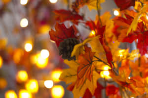 Netflix And Chill With Fall Desktop Wallpaper