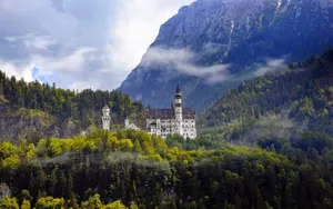 Neuschwanstein Castle: 8 Neuschwanstein Castle Wallpaper Hd Wallpaper