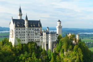 Neuschwanstein Castle Blue Sky Green Trees Wallpaper