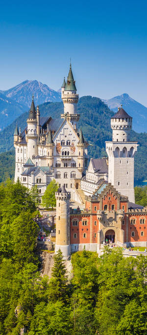 Neuschwanstein Castle Mountain Backdrop Wallpaper