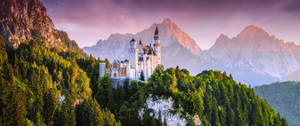 Neuschwanstein Castle Pink Sky Mountains Wallpaper