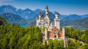 Neuschwanstein Castle - Witness The Fairy Tale Come To Life Wallpaper