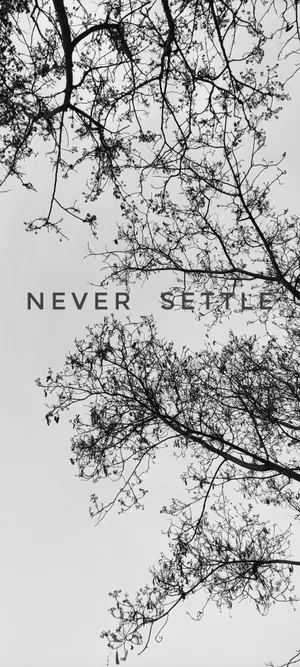 Never Settle White Black Tree Wallpaper