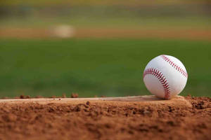 New Baseball On The Plate Wallpaper