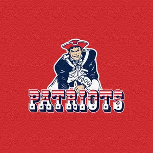 New England Patriots Team Logo Wallpaper
