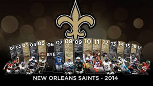 New Orleans Saints 2014 Playoffs Wallpaper