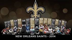 New Orleans Saints 2014 Playoffs Wallpaper