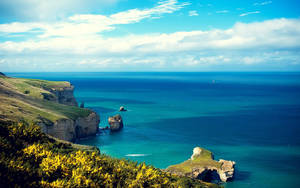 New Zealand Costal Cliff Wallpaper