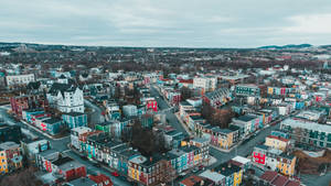 Newfoundland's Cityscape Wallpaper