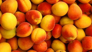 Newly Harvest Fresh Nectarine Wallpaper