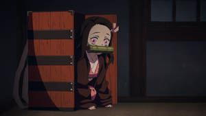 Nezuko In Wooden Box Wallpaper
