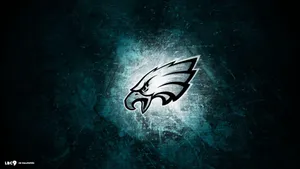 Nfl Teams Show Off Their Colors Wallpaper