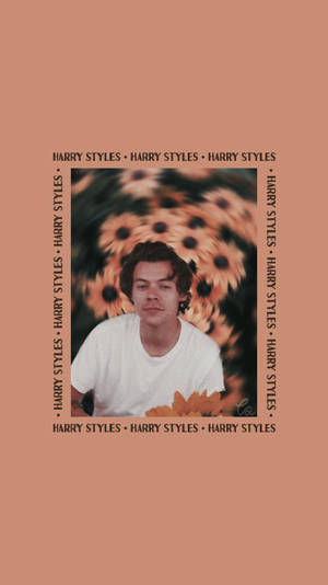 Nice Harry Styles Aesthetic Design Wallpaper