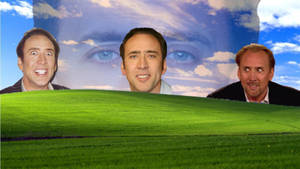 Nicolas Cage Meme Bliss Meadow Wallpaper