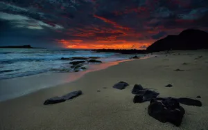 Night Rocky Beach Wallpaper