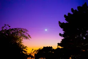 Night, Sky, Stars, Trees, Dark Wallpaper