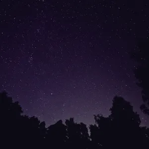 Night Time Under A Beautiful Night Sky Wallpaper