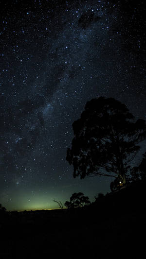 Night View Oled Phone Wallpaper