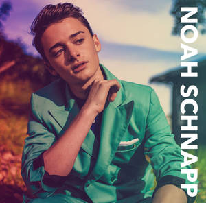 Noah Schnapp Poster Wallpaper