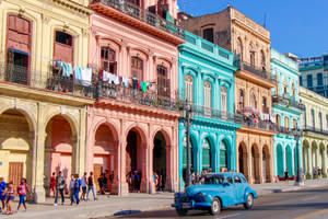 North America Cuba Pastel Houses Wallpaper