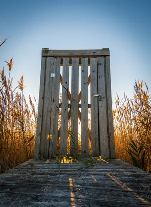 November Field Wooden Gate Wallpaper