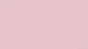 Nude Pastel Pink Solid Color Wallpaper