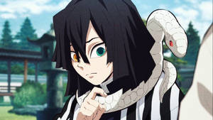 Obanai Iguro Orange And Green Eyes Wallpaper