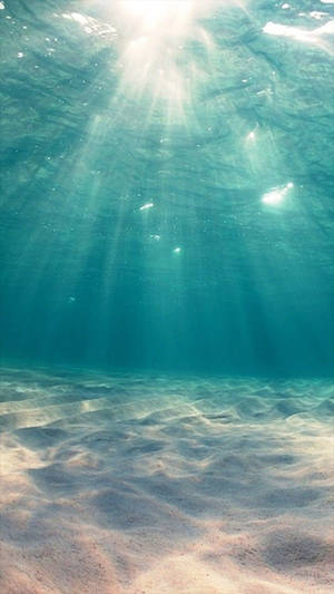 Ocean Iphone Sand Under Wallpaper