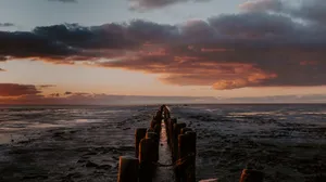 Ocean Sunset Wallpaper