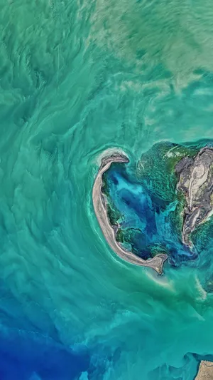 Ocean View Wallpaper