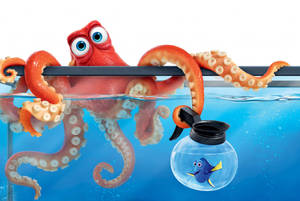 Octopus Hank Wallpaper