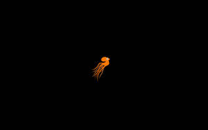 Octopus Minimalist Ipad Wallpaper