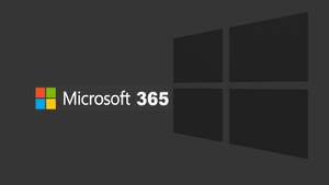 Office 365 Black Windows Logo Wallpaper