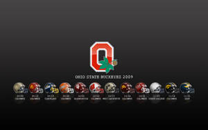 Ohio State University Buckeyes 2009 Wallpaper