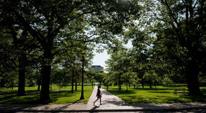 Ohio State University Campus Pathways Wallpaper