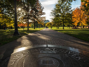 Ohio State University Seal Wallpaper