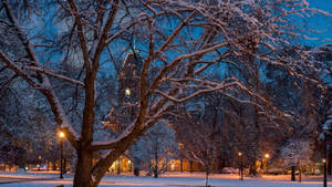 Ohio State University Snow-covered Campus Wallpaper