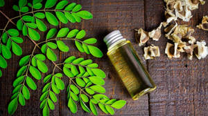 Oil From Moringa Leaves Wallpaper