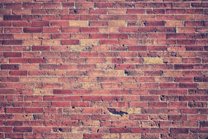 Old Common Bricks Wallpaper