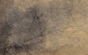 Old Paper Texture With Grooves Wallpaper